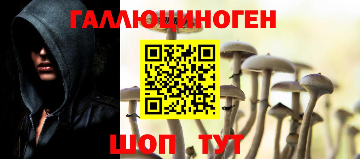 Светлоград  Псилоцибиновые грибы MAGIC MUSHROOMS  Галлюциногенные грибы Psilocybe  как найти   Вход с VPN 